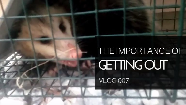 The Importance of Getting Out | WhiskeyChick Vlog 007 🎶🕺